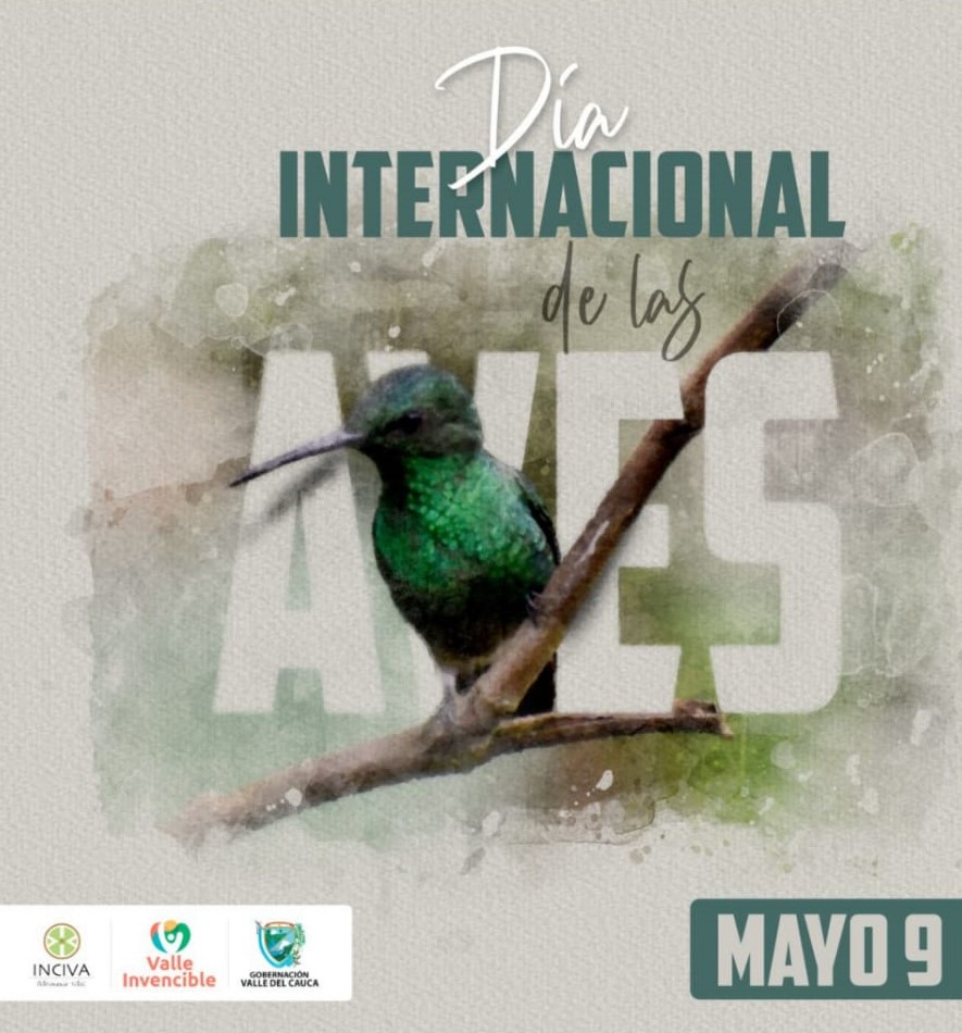 116491-114259-dia de las aves